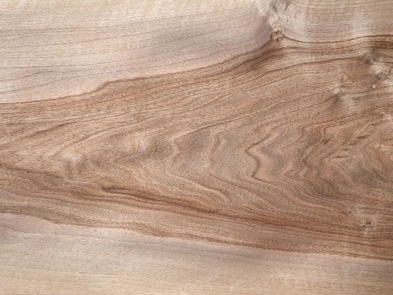 0,6mm Nussbaum europ&auml;isch Furnier