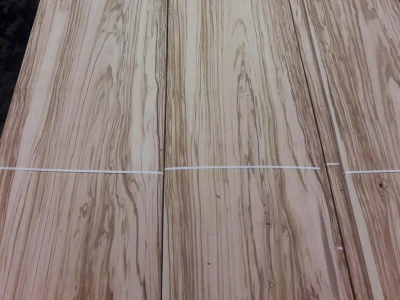 0,6mm Olive Furnier