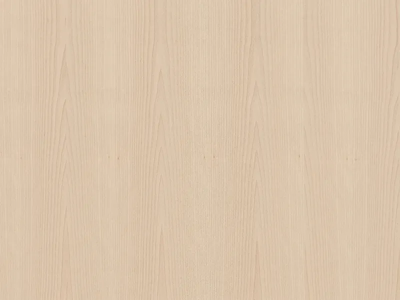 \\David\Daten\Shopartikelbilder\Kaindl\Span furniert Bilder 2021\Birke-MF.jpg