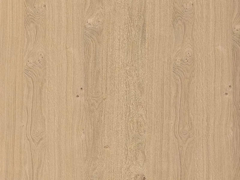 39mm Asteiche kleinastig CharismNaturmix