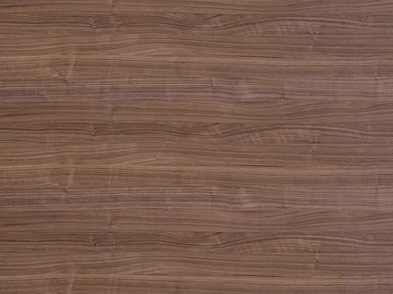 19mm Black Walnut Charismo Elegant