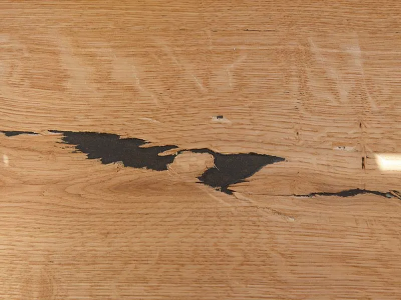 29mm Wildeiche Blackback