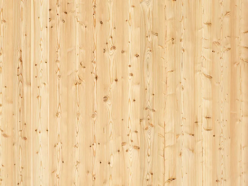 19mm L&auml;rche europ. 3-S  B/C+ 5000x2000mm