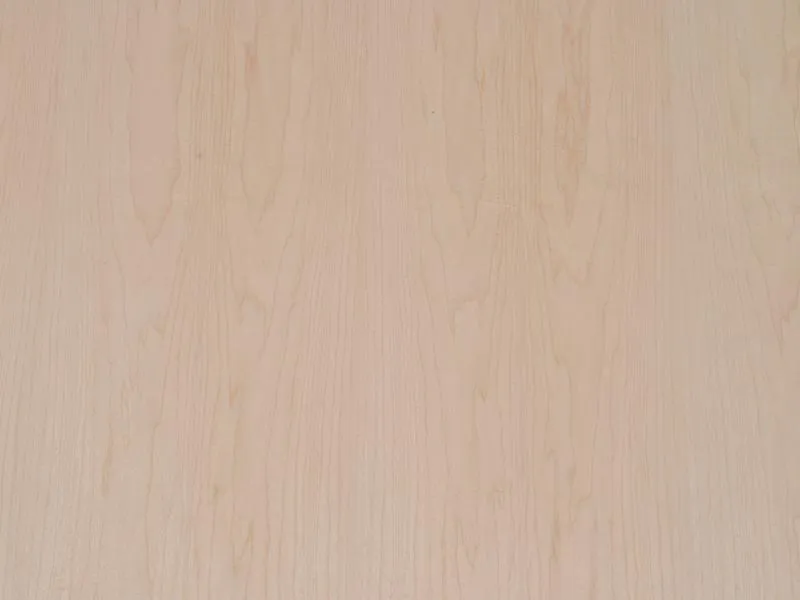 8mm Hard Maple Fupla MF A/C