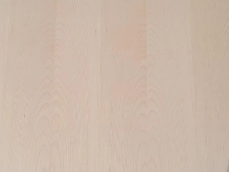 8mm Ahorn europ&auml;isch Fupla MF A/C