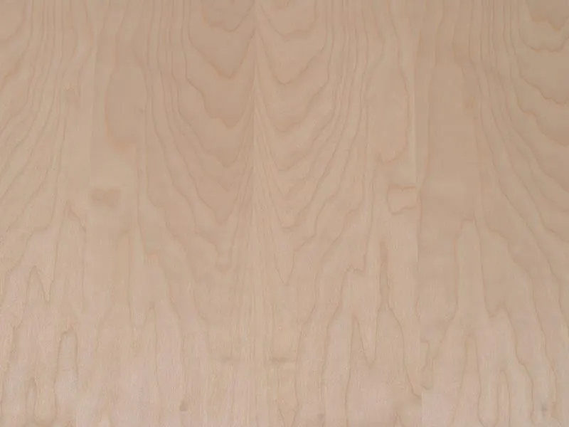 8mm Birke Fupla MF A/C