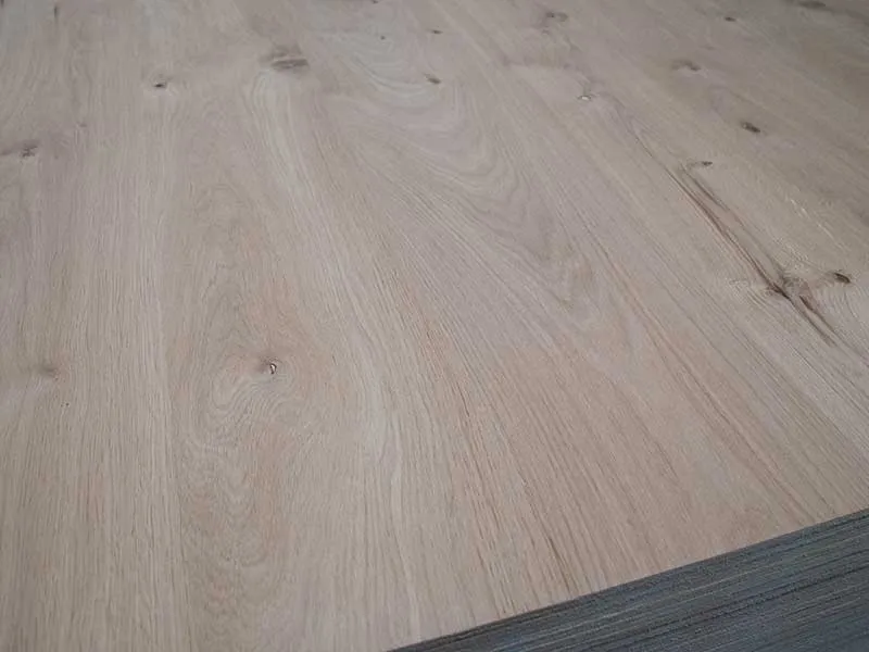 8mm Asteiche Fupla MF A/C