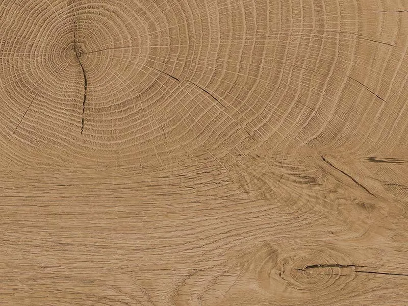 Kaindl Boards Produktkatalog.pdf