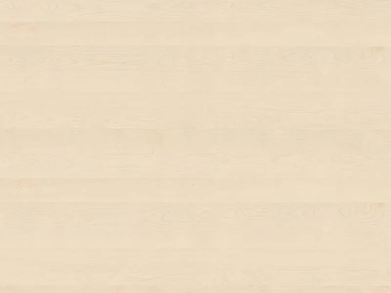 \\DAVID\Daten\Shopartikelbilder\Kaindl\Furnierte Platten\41835-ahorn-europ&auml;isch.jpg