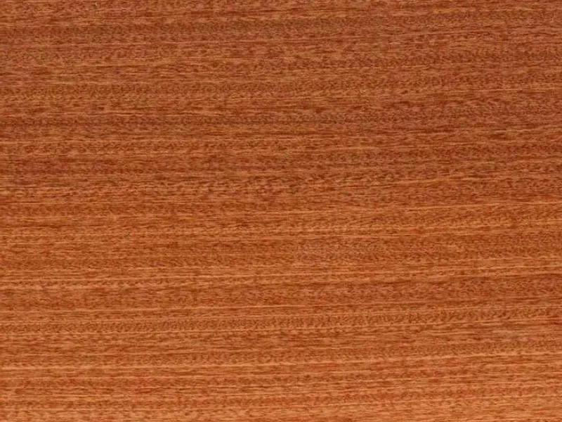 Mahagoni 0,6mm SK-Kante 24mm