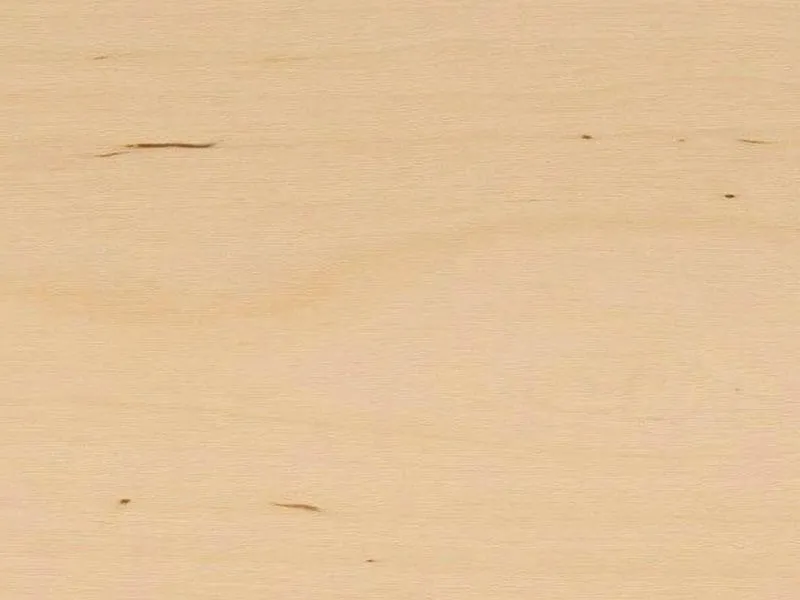 \\DAVID\Daten\Shopartikelbilder\Furniere\Birke.jpg