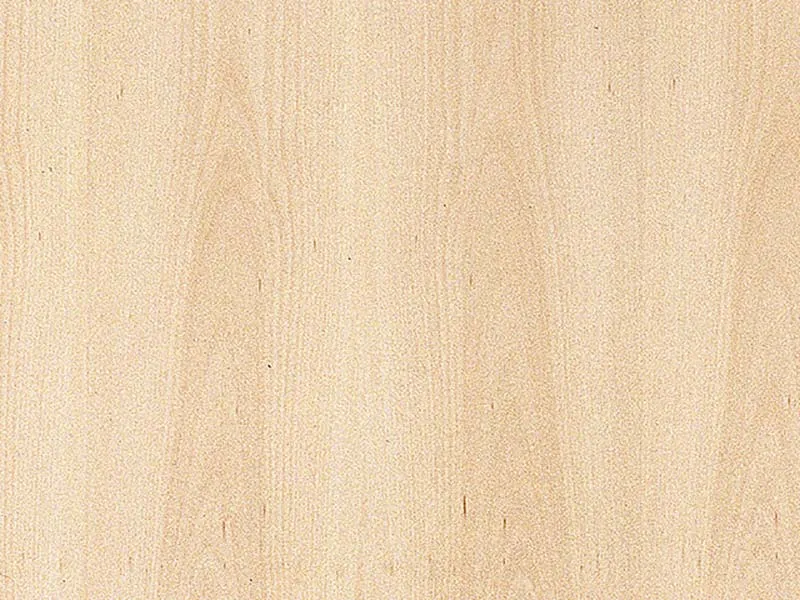 \\DAVID\Daten\Shopartikelbilder\Kaindl\Furnierte\Buche unged.jpg