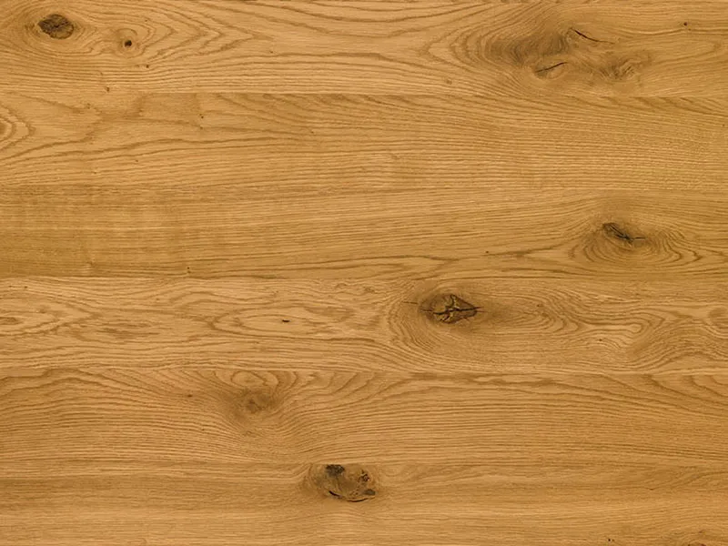 \\david\Shopartikelbilder\Alfa\Bilder 10-2021\3S-MINISTAR-Wildeiche.jpg