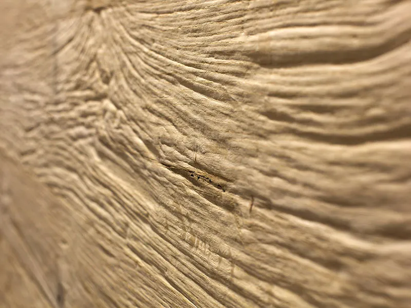 23x0,9mm Strukturkante Traunsee