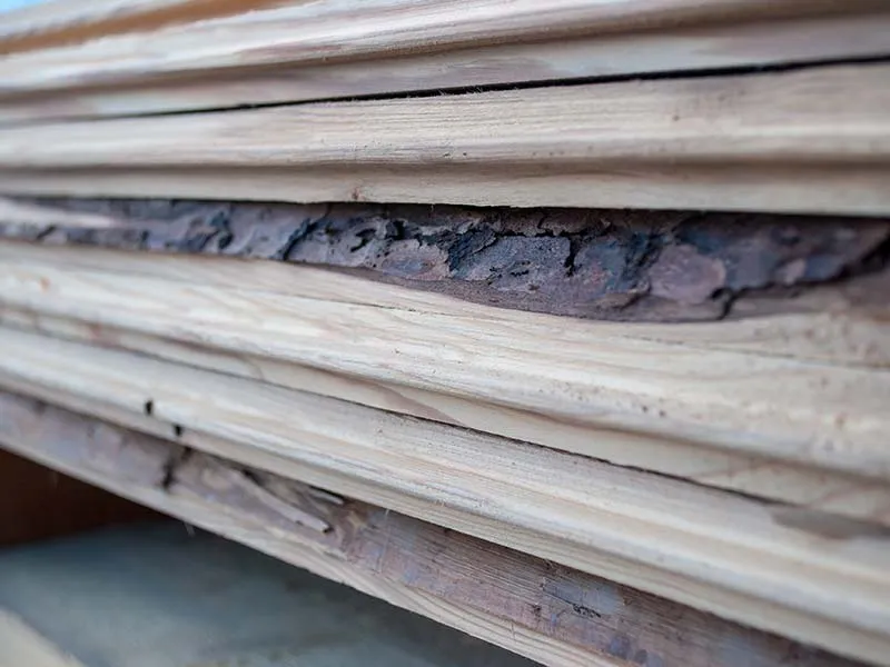 22x166mm Fichte ged&auml;mpft Dachstein   N+F