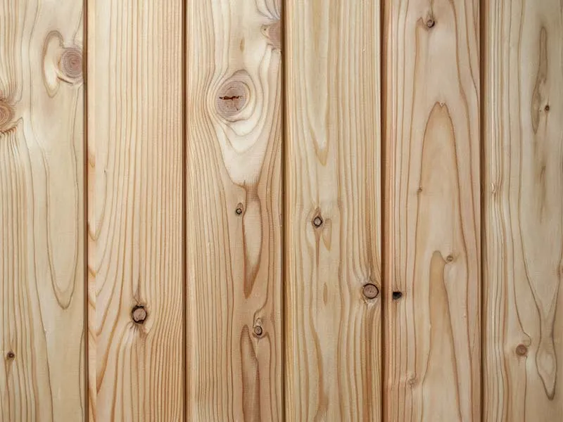 25x115mm L&auml;rche astig Vertikal N+F