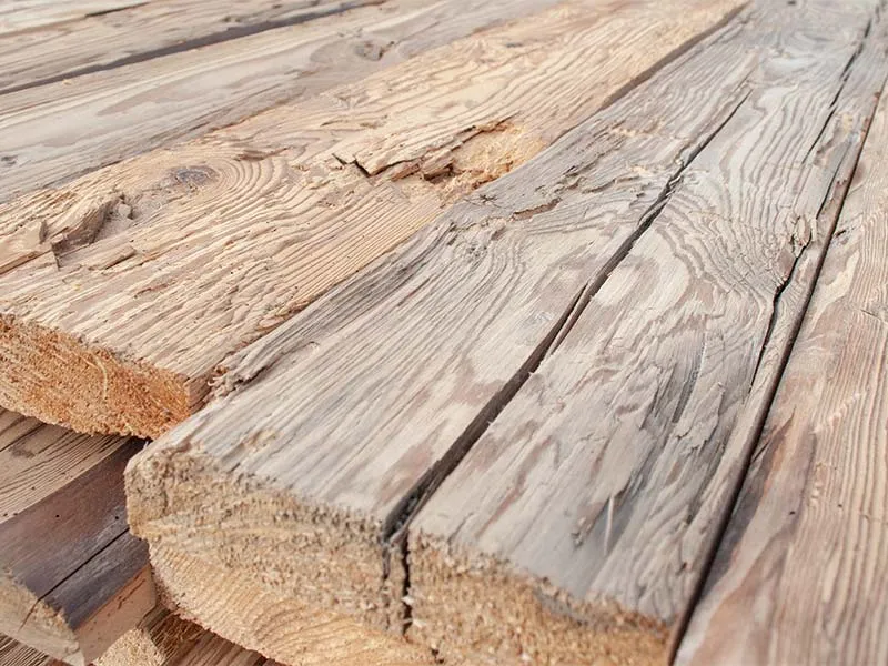 35mm Altholz Fi/Ta Anschnitte bes&auml;umt