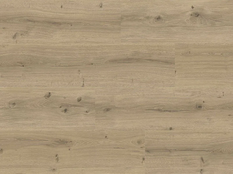 50x18mm Graueiche, Sandeiche, Altl&auml;rche