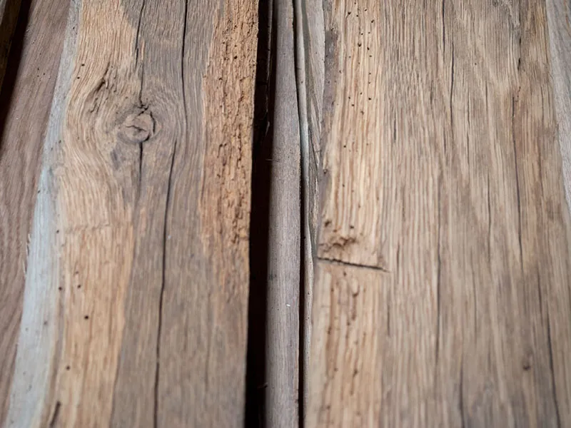 32mm Eiche Altholz Orig. gehackte Ober-