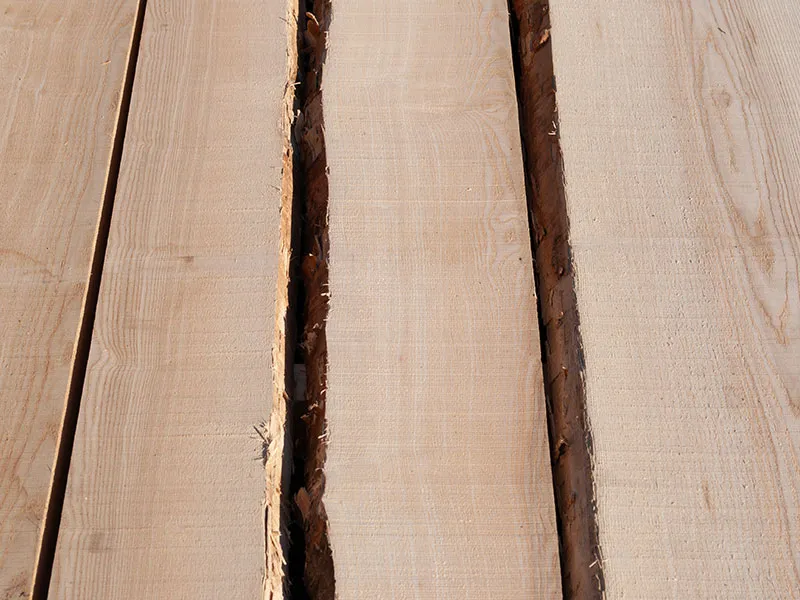 80mm Esche Kern Stammware Premium