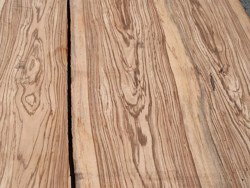 40mm Zebrano Stammware Premium