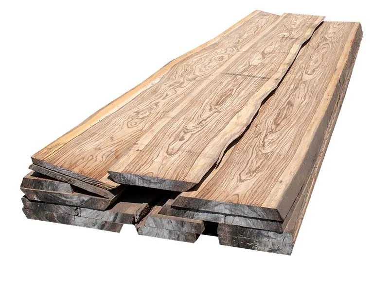 40mm Zebrano Stammware Premium